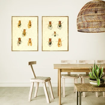 Антични рисунки по стените, илюстрации пчели, декор фермерска къща, реколта щампи с растения 1800-те години, 2 комплекта отпечатъци Giclee, оса
