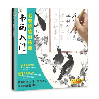 Въведение в каллиграфию и рисуване Учебна книга за управление на четка Книги по китайска калиграфия и техниката на рисуване с четка
