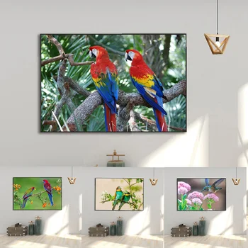 Картина върху платно с птица-папагал, съвременно стенно изкуство, плакати с животни и щампи, живопис за декорация на хола, живопис без рамка