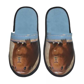 Пухкави пантофи с хубав портрет, Гвинея, плюшени чехли с отворени пръсти от пеноматериала, зимни домашни обувки