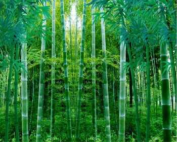 Тапети по поръчка декорация на дома, Зелени бамбукови гори ТЕЛЕВИЗИЯ фон рисувани стенни дневна спалня рисувани стенни тапети за стени d 3