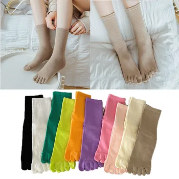 Чорапи Дамски чорапи със средна дължина, Спортни обикновена трикотаж носочные изделия с разцепени пръсти и пет пръста, Дишащи Сладки ежедневни чорапи, абсорбиращи потта
